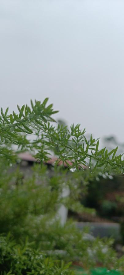 Doi Che Hotel Moc Chau Luaran gambar